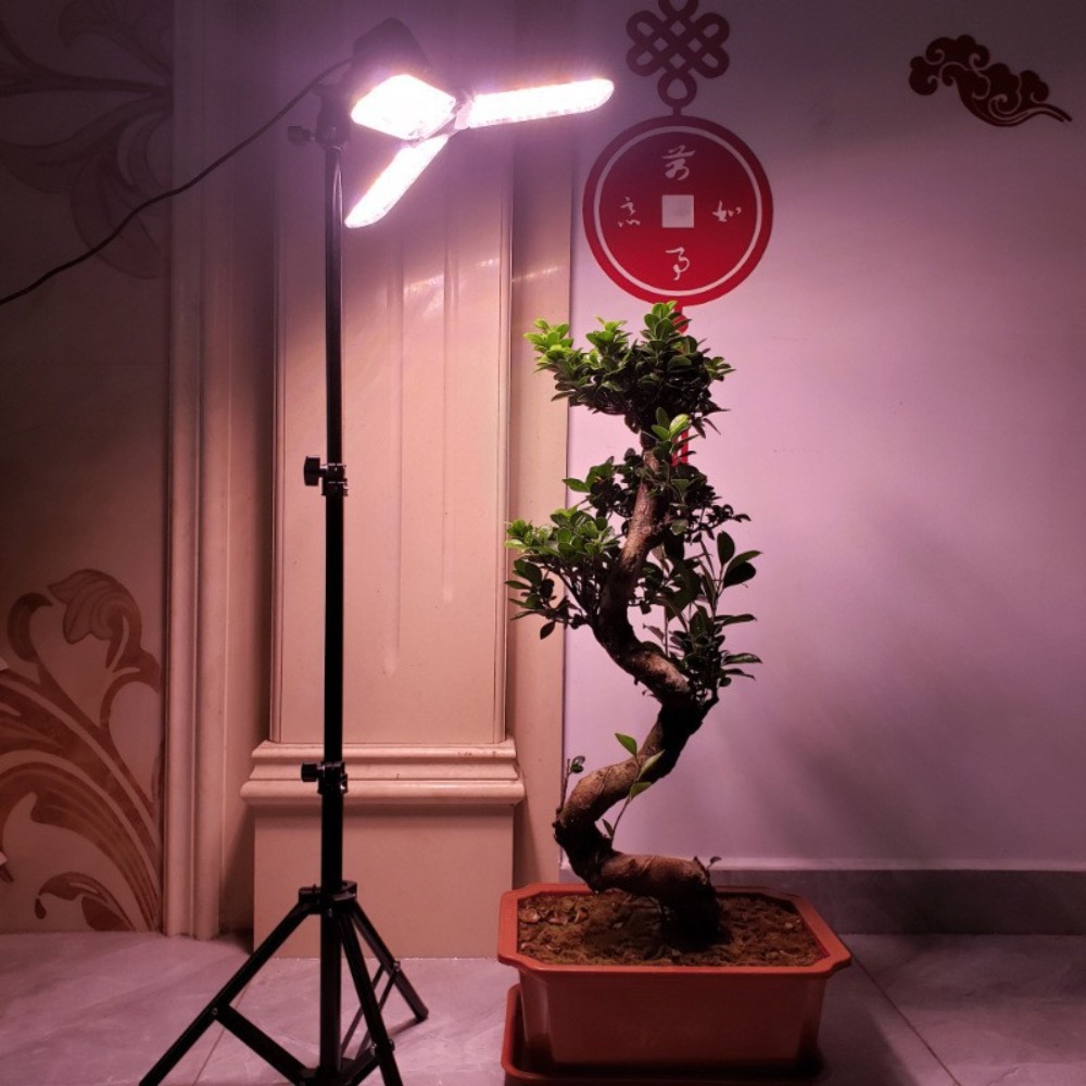 Support d'ampoule 2M, douille  - Photography Umbrella avis et prix